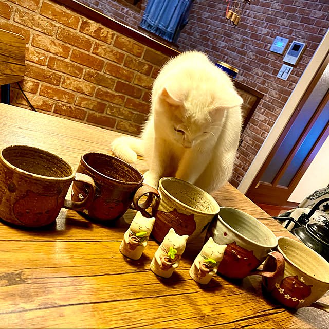 butachanさんの実例写真