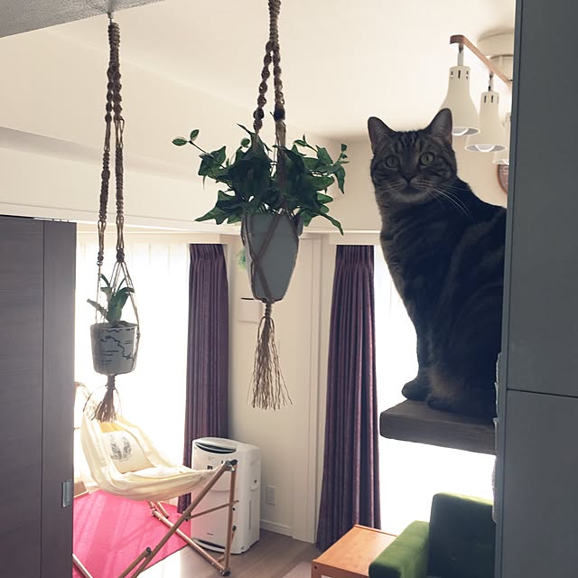 mikomaruさんの実例写真