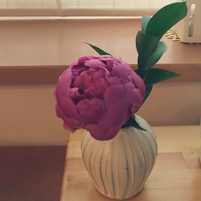 magnoliaさんの実例写真