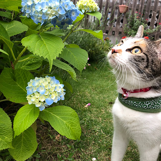 1013さんの実例写真