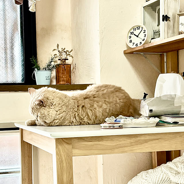 naokoさんの部屋