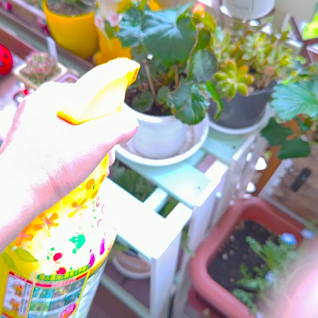 mariaさんの部屋
