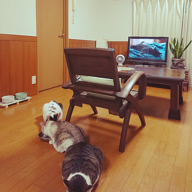 nachiさんの実例写真