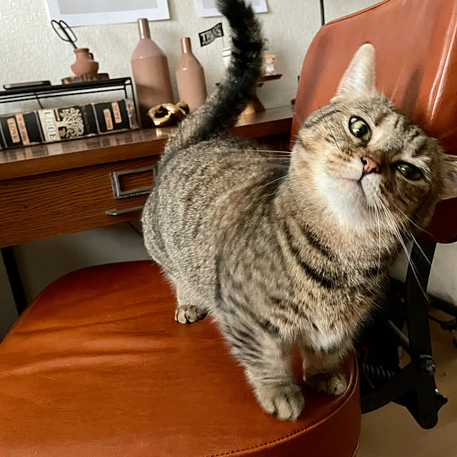 kajikissaさんの実例写真