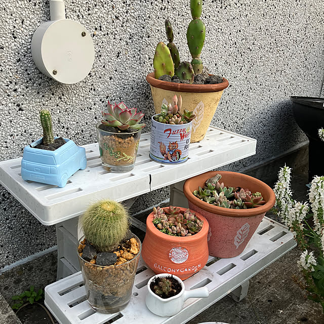 mottimoさんの部屋