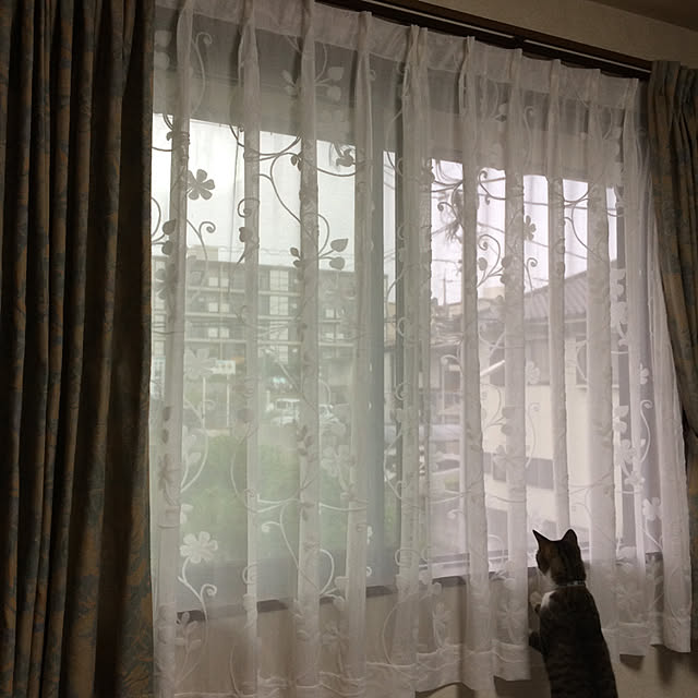 ねこと暮らす。/ベッド周りのインテリア実例 - 2020-08-31 21:29:38
