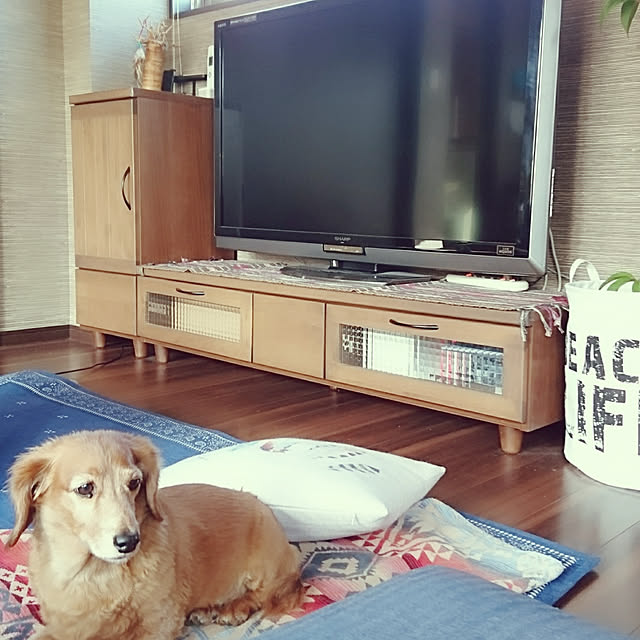 cocosorasakuさんの実例写真