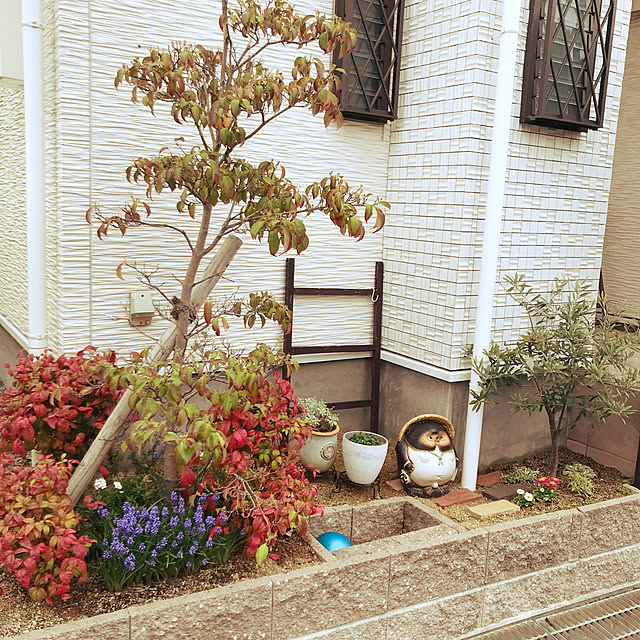 mamemamさんの実例写真