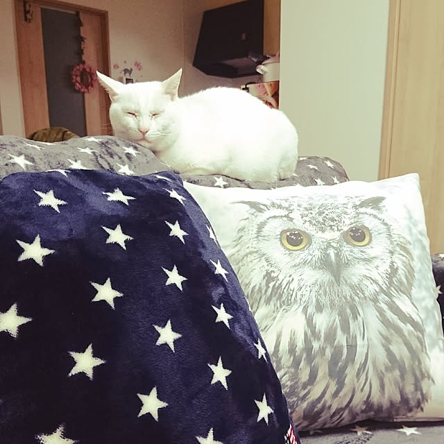 ta-koさんの実例写真