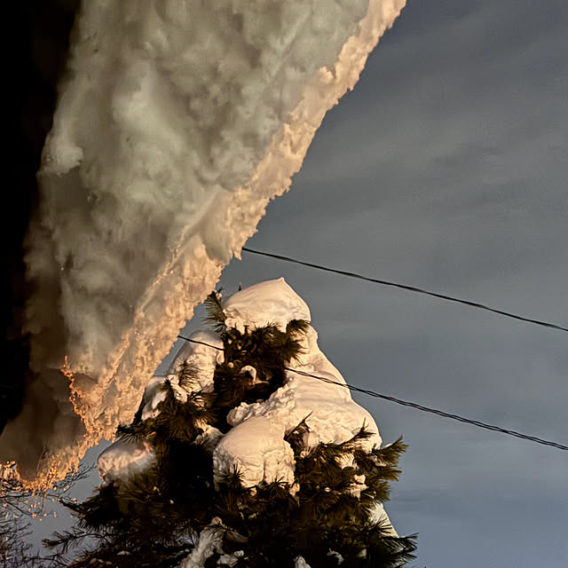 Fleur_さんの部屋