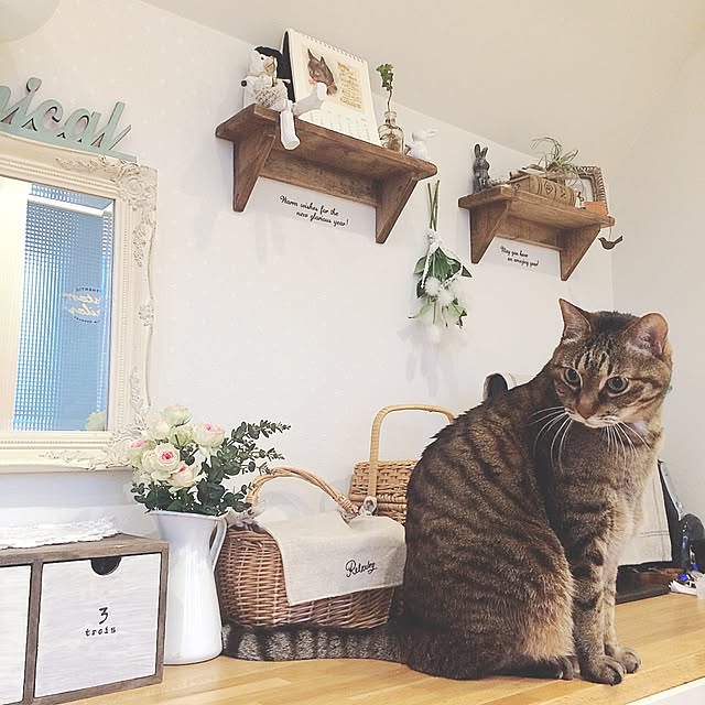 lovecatさんの実例写真