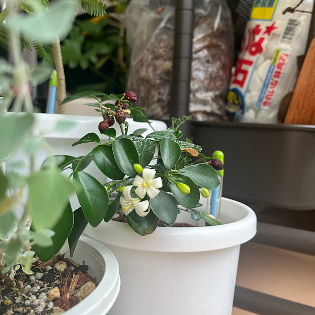 khaiさんの部屋