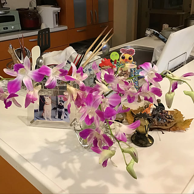 nanaさんの実例写真