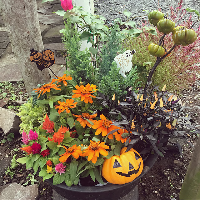 Tさんの実例写真