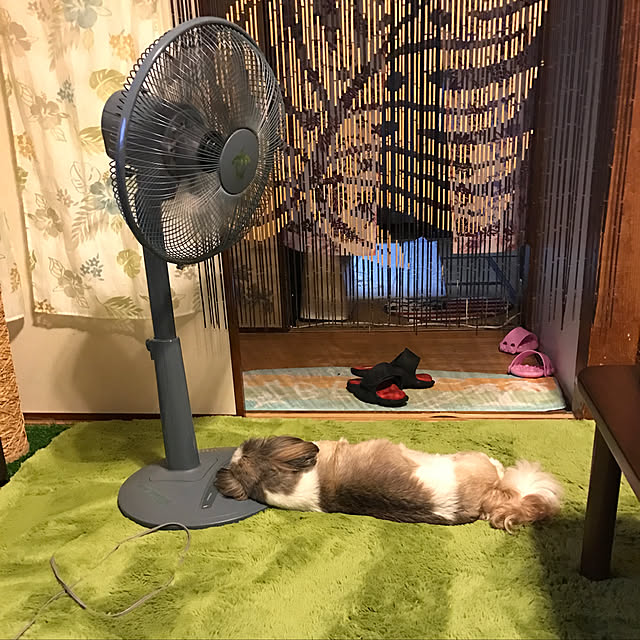 kao4914さんの実例写真