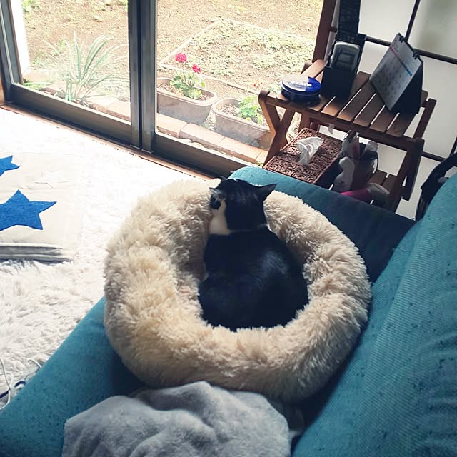 oseroさんの部屋