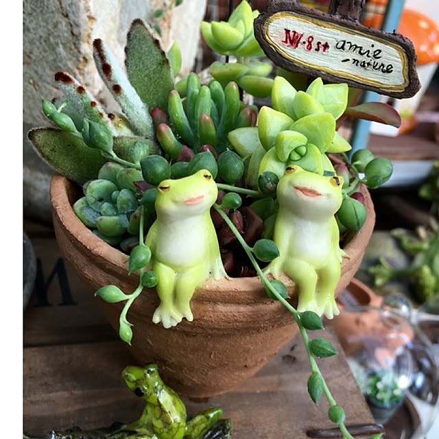 実例写真