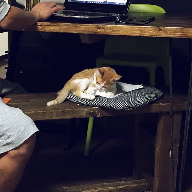 実例写真