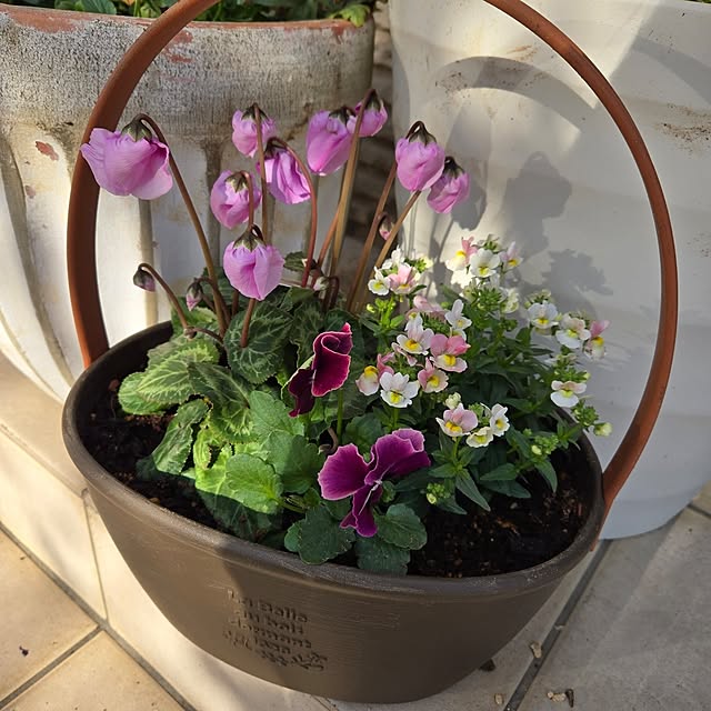 mutyukingさんの実例写真