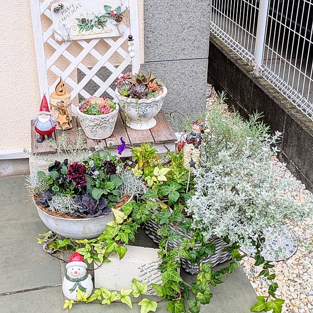 purpureさんの部屋