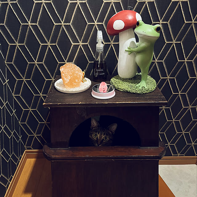 Mさんの実例写真