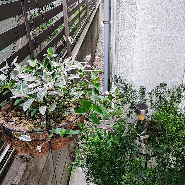 jinさんの部屋