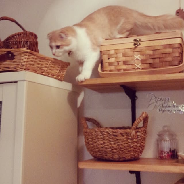 yuさんの実例写真