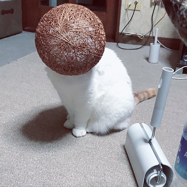 yorozuyafukuさんの実例写真