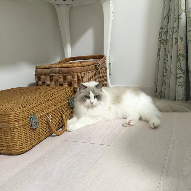 yuchiさんの実例写真