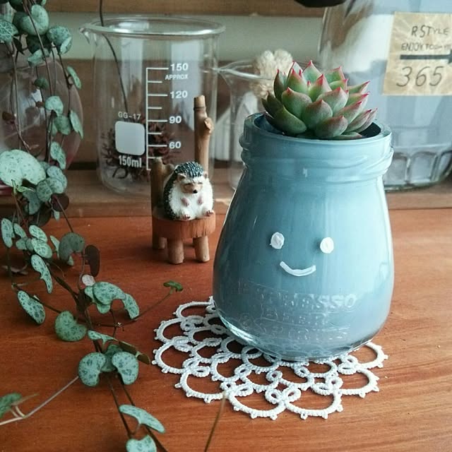 sakusakuさんの実例写真