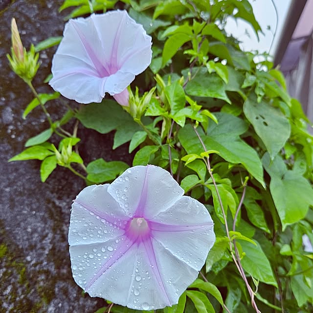 mocomocoさんの部屋
