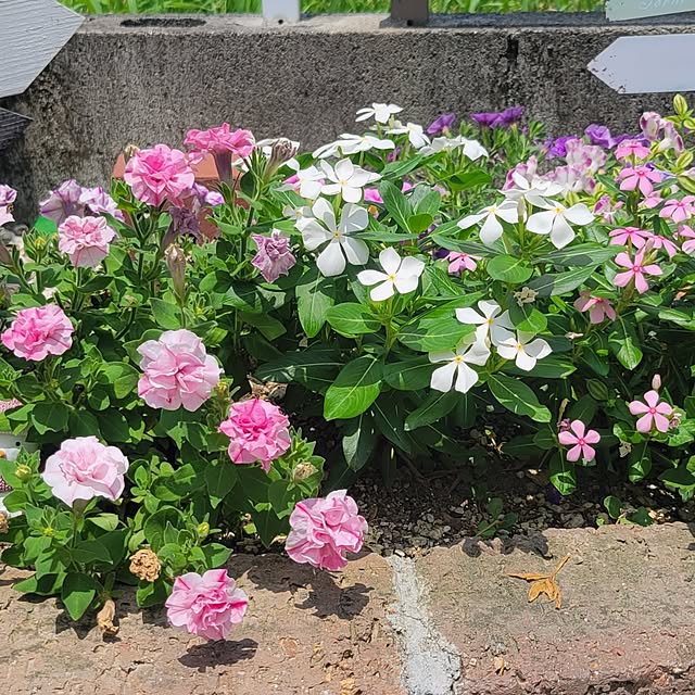 natyenaoさんの部屋
