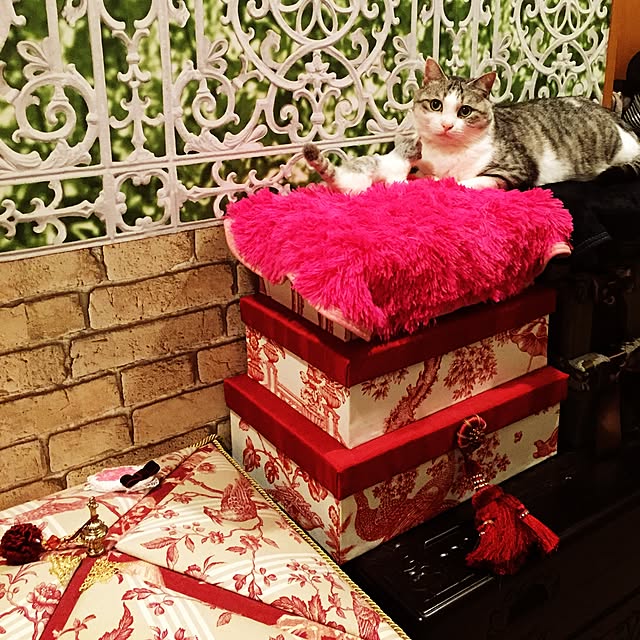 emmyyさんの実例写真