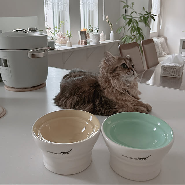 miyu39さんの部屋