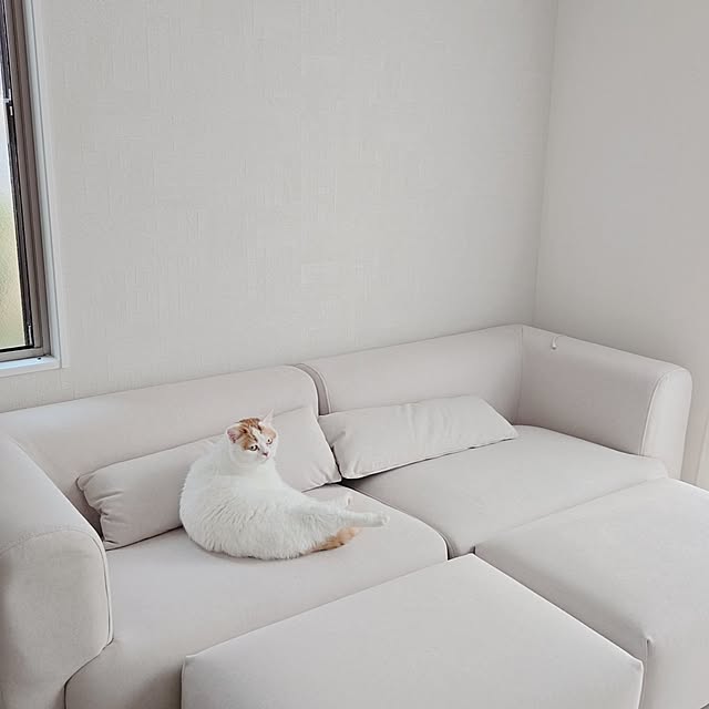 chamihomeさんの部屋