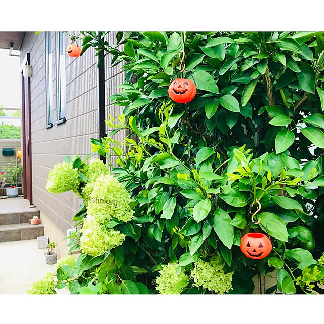 tinkunさんの実例写真