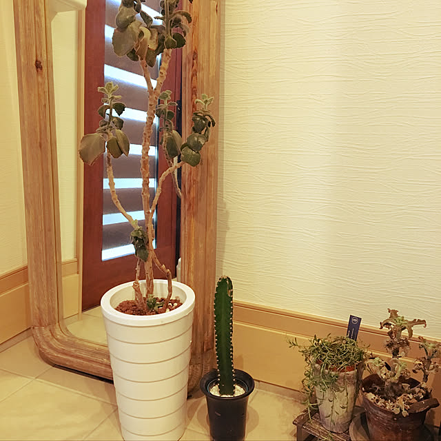 y.yoshimi4437さんの実例写真