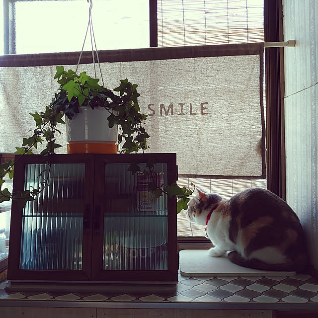 fukuさんの実例写真