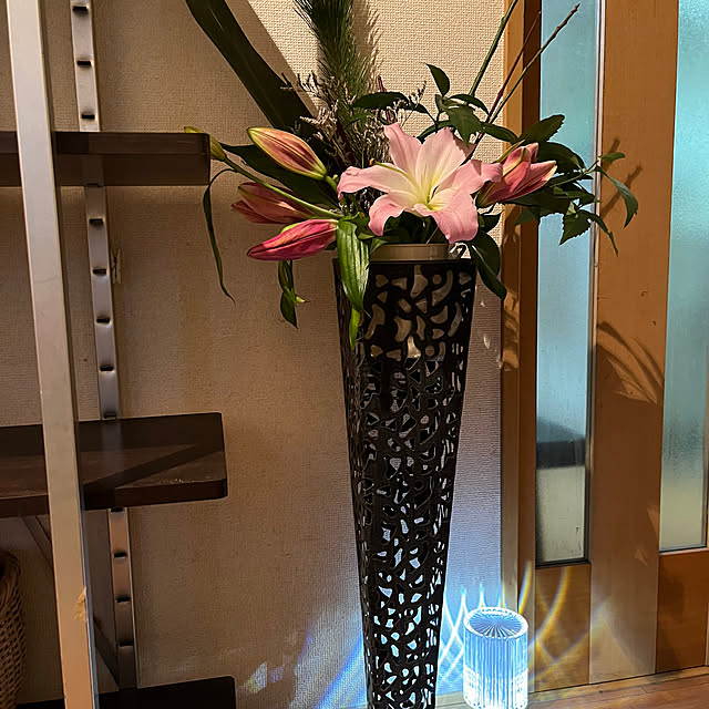 cagosukiさんの実例写真