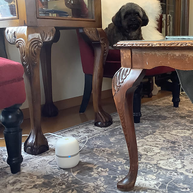 taeさんの部屋
