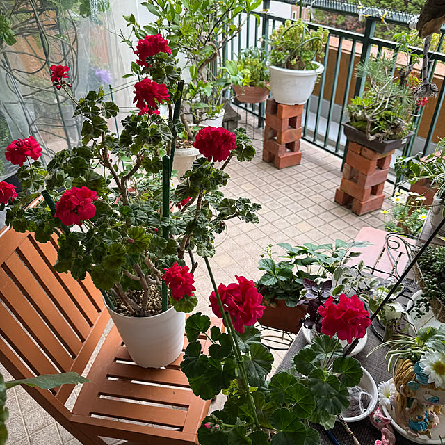 Aqettyさんの部屋