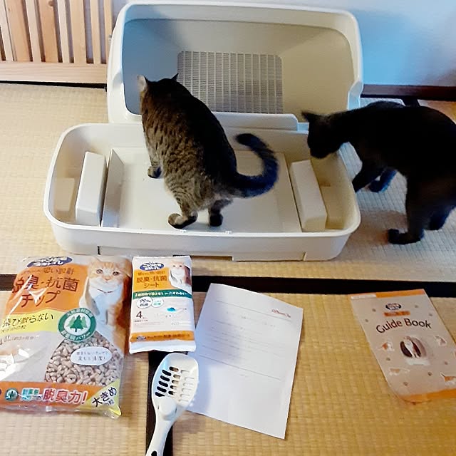 meguさんの部屋