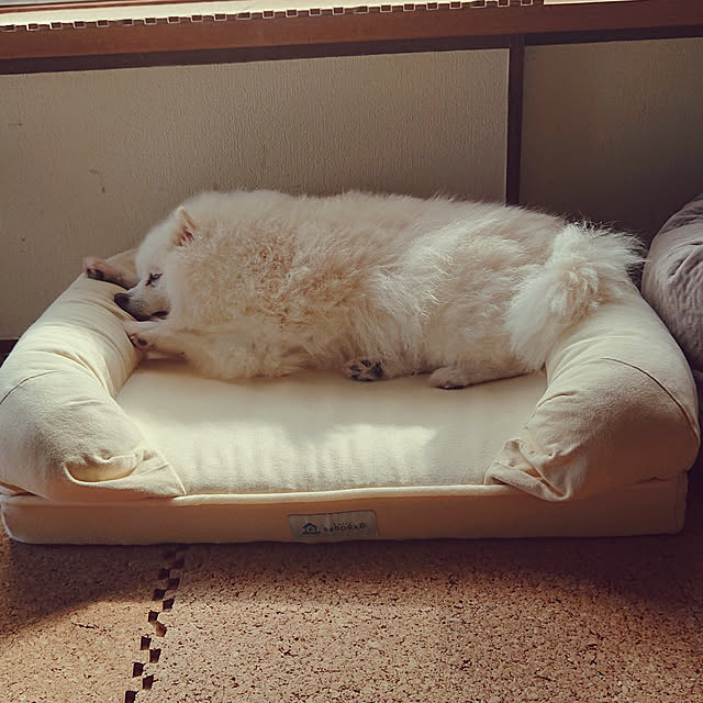 e-mailさんの実例写真
