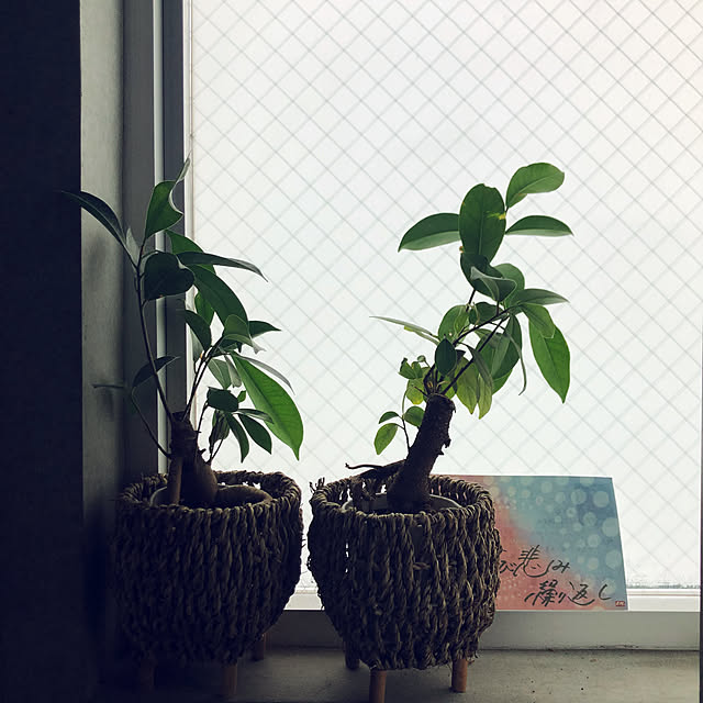 Taroさんの実例写真