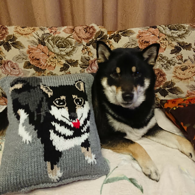 tsutawarimasuさんの実例写真