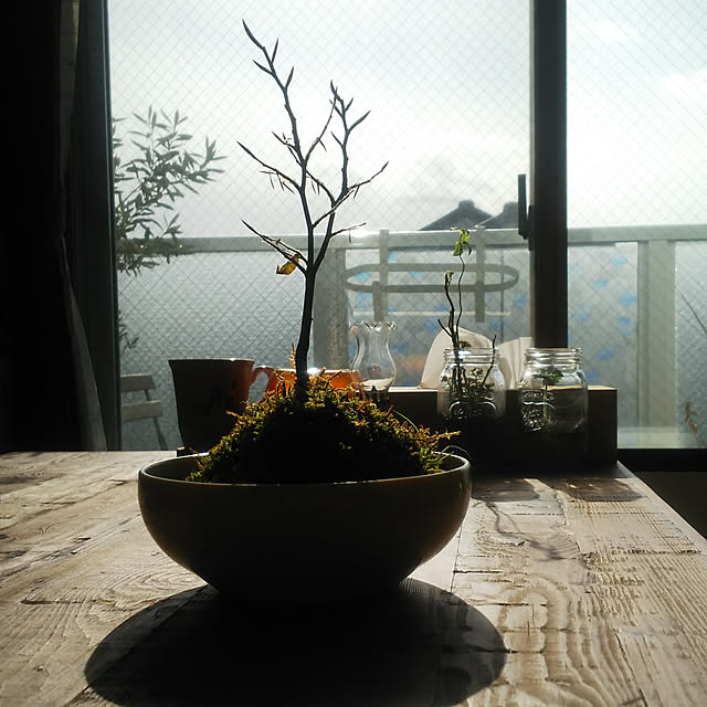 nature-faloさんの実例写真