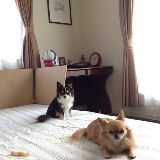MiyoMiyoさんの実例写真