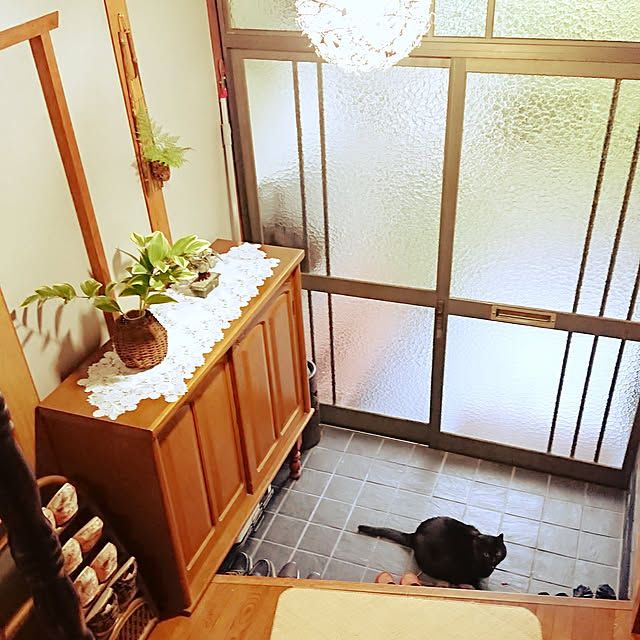 junkn6さんの実例写真