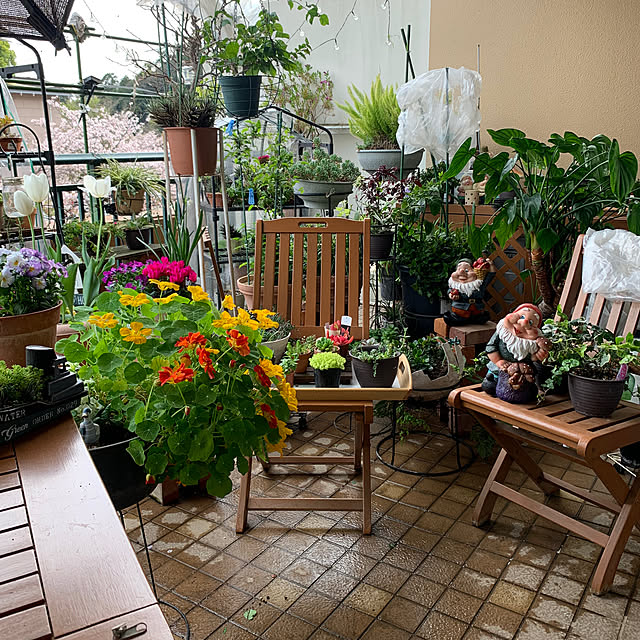 Aqettyさんの部屋