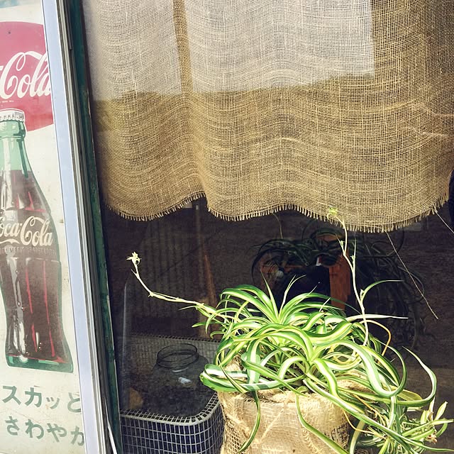 syokoさんの実例写真